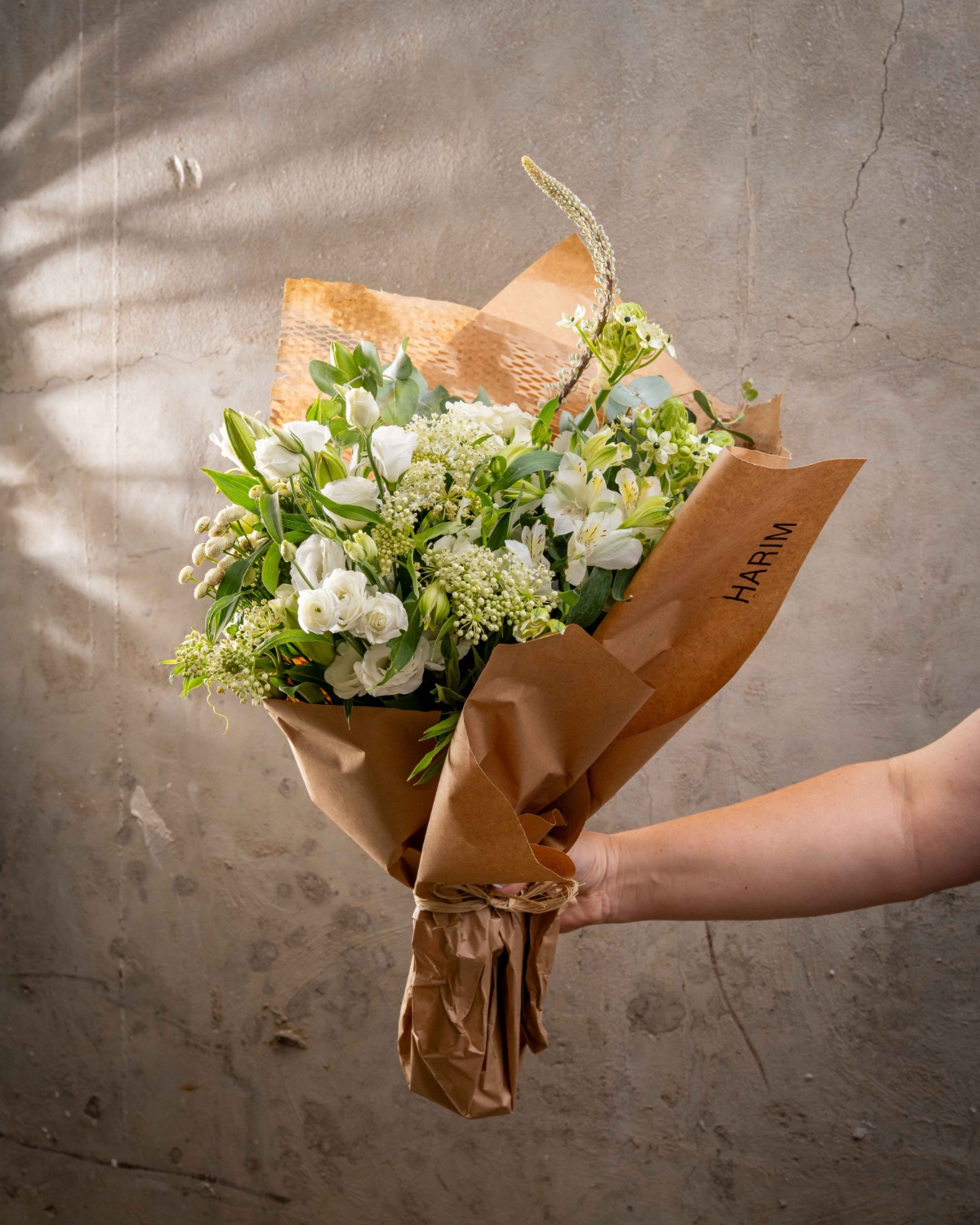 זר חרמון לבן