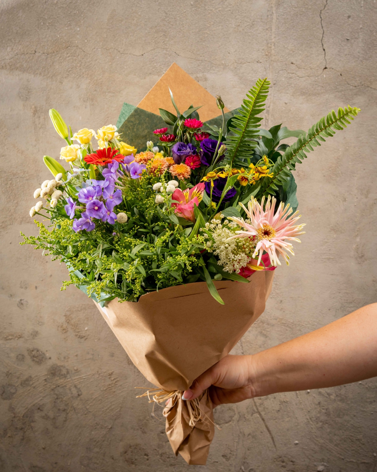 זר גלבוע צבעוני