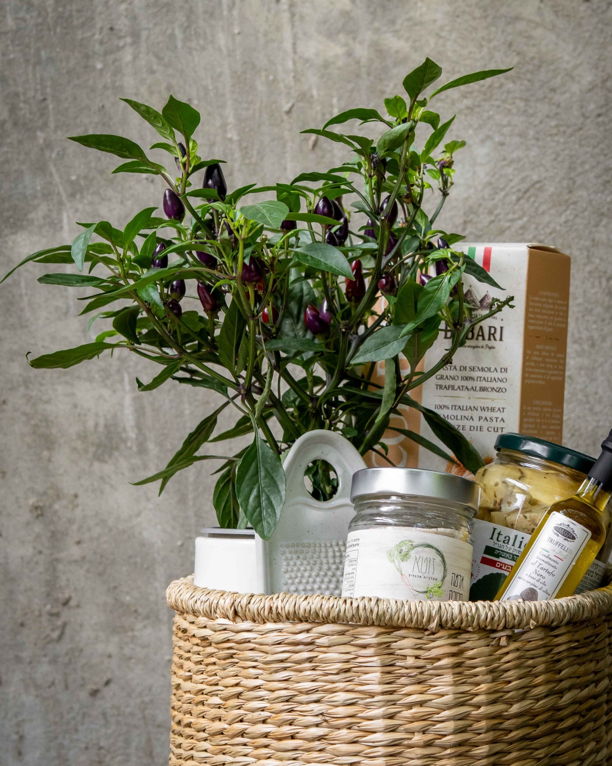 מארז איטליה